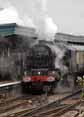 Photograph of PRINCESS ELIZABETH - 46201 PRINCESS ELIZABETH at Didcot on 29/05/10