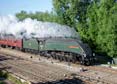 Photograph of UNION OF SOUTH AFRICA - 60009 UNION OF SOUTH AFRICA at Didcot on 25/08/18