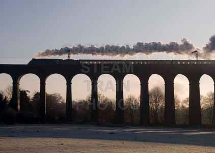 Purchase photo of 60019 BITTERN at Digswell