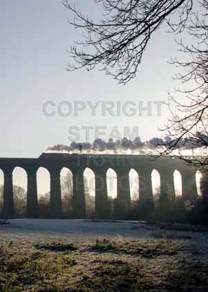 Purchase photo of 60019 BITTERN at Digswell