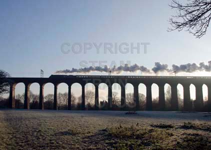 Purchase photo of 60019 BITTERN at Digswell