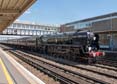 Photograph of BRITISH INDIA LINE - 35018 BRITISH INDIA LINE at Eastleigh on 06/07/19