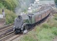 Photograph of UNION OF SOUTH AFRICA - 60009 UNION OF SOUTH AFRICA at Eastleigh on 08/08/19
