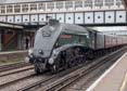 Photograph of UNION OF SOUTH AFRICA - 60009 UNION OF SOUTH AFRICA at Eastleigh on 08/08/19