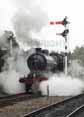 Photograph of O4 - 63601 O4 at Great Central Railway on 10/10/10