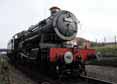 Photograph of PITCHFORD HALL - 4953 PITCHFORD HALL at Great Central Railway on 10/10/10