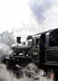 Photograph of (78019 2MT) - 78054 (78019 2MT) at Great Central Railway on 10/10/10