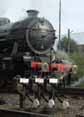 Photograph of THE GREAT MARQUESS - 61994 THE GREAT MARQUESS at Great Central Railway on 10/10/10