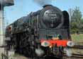 Photograph of DUKE OF GLOUCESTER - 71000 DUKE OF GLOUCESTER at Great Central Railway on 10/10/10