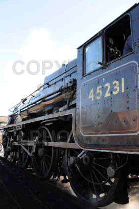 Purchase posters of 45231 SHERWOOD FORESTER