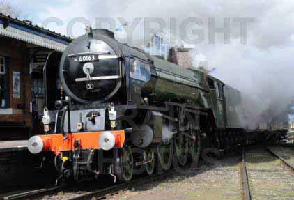 Purchase posters of 60163 TORNADO