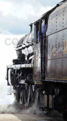 Purchase posters of 45690 LEANDER