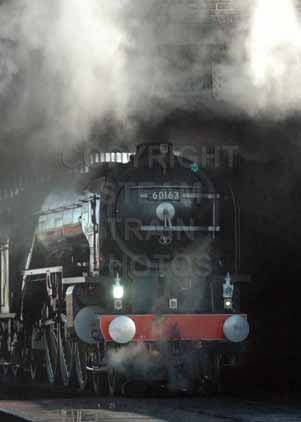 Purchase photo of 60163 TORNADO at Great Central Railway
