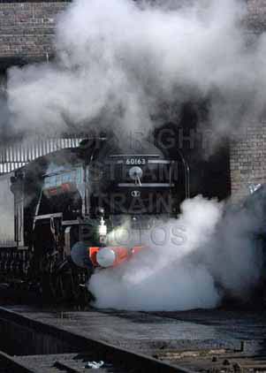 Purchase photo of 60163 TORNADO at Great Central Railway