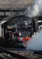 Photograph of TORNADO - 60163 TORNADO at Great Central Railway on 28/03/10