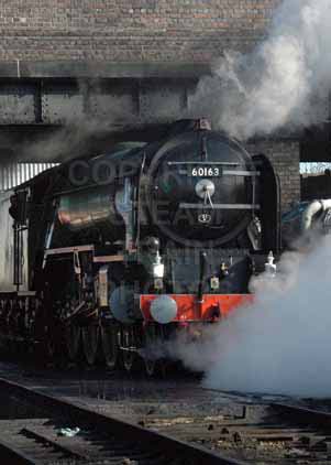 Purchase photo of 60163 TORNADO at Great Central Railway