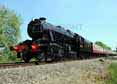 Photograph of (8274 8F) - 8476 (8274 8F) at Gloucestershire Warwickshire Railway on 03/06/10
