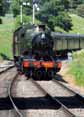 Photograph of 2-8-0 - 3803 2-8-0 at Gloucestershire Warwickshire Railway on 03/06/10
