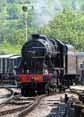 Photograph of (8274 8F) - 8476 (8274 8F) at Gloucestershire Warwickshire Railway on 03/06/10