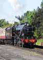 Photograph of (8274 8F) - 8476 (8274 8F) at Gloucestershire Warwickshire Railway on 03/06/10