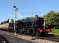 Photograph of (8274 8F) - 8476 (8274 8F) at Gloucestershire Warwickshire Railway on 03/06/10