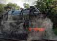 Photograph of BLACK PRINCE - 92203 BLACK PRINCE at Gloucestershire Warwickshire Railway on 03/06/10