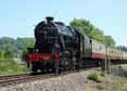 Photograph of (8274 8F) - 8476 (8274 8F) at Gloucestershire Warwickshire Railway on 03/06/10