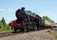 Photograph of (8274 8F) - 8476 (8274 8F) at Gloucestershire Warwickshire Railway on 03/06/10