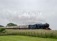Photograph of KING EDWARD II - 6023 KING EDWARD II at Gloucestershire Warwickshire Railway on 09/06/18