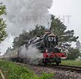 Poster ofKING EDWARD II - 6023 KING EDWARD II at Gloucestershire Warwickshire Railway on 28/05/18