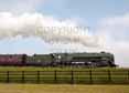 Photograph of 9F - 92214 9F at Gloucestershire Warwickshire Railway on 29/05/16