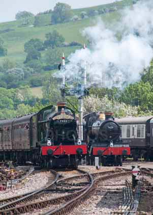 Purchase photo of 7903 FOREMARKE HALL &  7820 DINMORE MANOR at Gloucestershire Warwickshire Railway