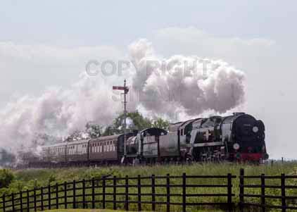 Purchase photo of 35006 PENINSULAR & ORIENTAL S. N. Co. &  2807 2800 at Gloucestershire Warwickshire Railway