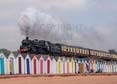 Photograph of BRAVEHEART - 75014 BRAVEHEART at Goodrington on 02/05/25