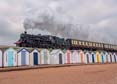 Photograph of BRAVEHEART - 75014 BRAVEHEART at Goodrington on 02/05/25