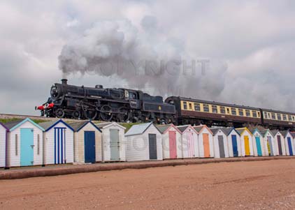 Purchase photo of 75014 BRAVEHEART at Goodrington