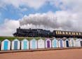 Photograph of BRAVEHEART - 75014 BRAVEHEART at Goodrington on 02/05/25
