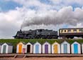 Photograph of BRAVEHEART - 75014 BRAVEHEART at Goodrington on 02/05/25