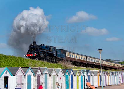 Purchase photo of 75014 BRAVEHEART at Goodrington