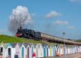 Photograph of BRAVEHEART - 75014 BRAVEHEART at Goodrington on 16/05/25