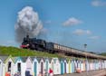 Photograph of BRAVEHEART - 75014 BRAVEHEART at Goodrington on 16/05/25