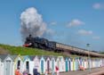 Photograph of BRAVEHEART - 75014 BRAVEHEART at Goodrington on 16/05/25