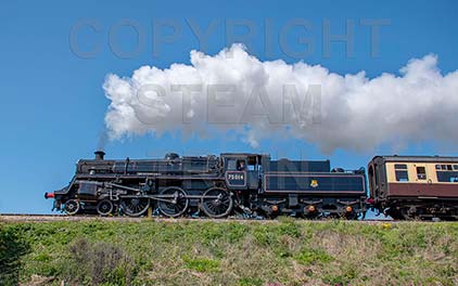 Purchase posters of 75014 BRAVEHEART