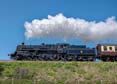 Photograph of BRAVEHEART - 75014 BRAVEHEART at Goodrington on 16/05/25