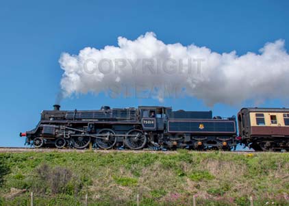 Purchase photo of 75014 BRAVEHEART at Goodrington