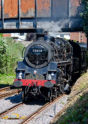 Purchase photo of 75014 BRAVEHEART at Goodrington