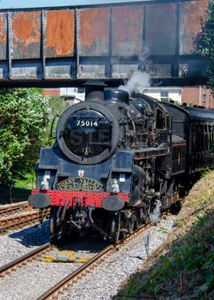 Purchase photo of 75014 BRAVEHEART at Goodrington