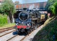 Photograph of BRAVEHEART - 75014 BRAVEHEART at Goodrington on 24/06/23