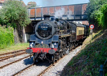 Purchase photo of 75014 BRAVEHEART at Goodrington