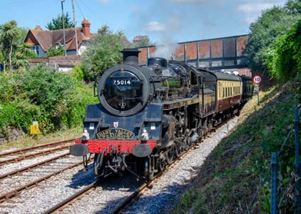 Purchase photo of 75014 BRAVEHEART at Goodrington